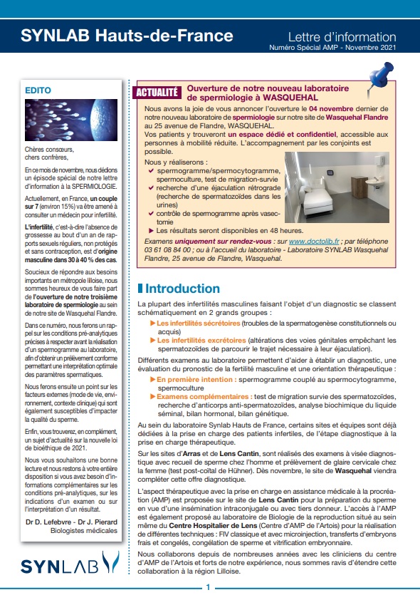 Sans titre8