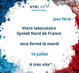 Fiche google + site internet