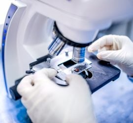 RS6418_sy_scientist_hands_microscope_sh_234586750_clean-scr-1