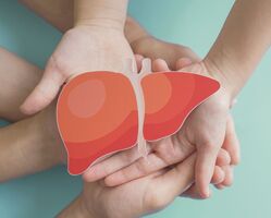 csm_AdobeStock_512003185__1__d6230f8704