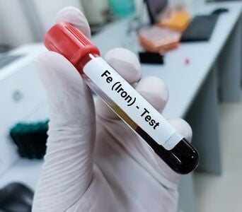 csm_AdobeStock_461387432_991a89cb96