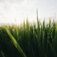 azlan-baharudin-cmiuqPkLd-A-unsplash