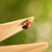 ivan-diaz-gcfLjxTjELg-unsplash