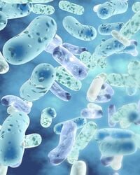 csm_Bacteria_Par_picture-waterfall_AdobeStock_279829303_c415b8a16a
