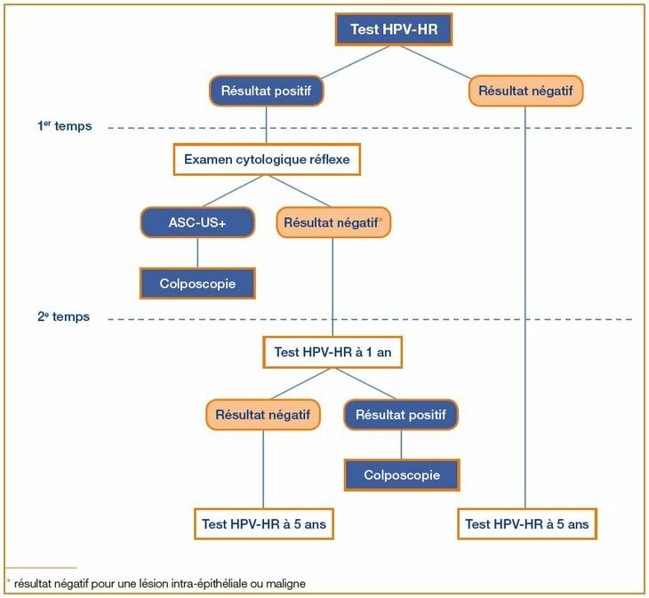 csm_HPV_Algorithme_de_triage_15f41c6327