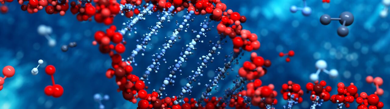 csm_genetique-adn_5fb83cdc36-1