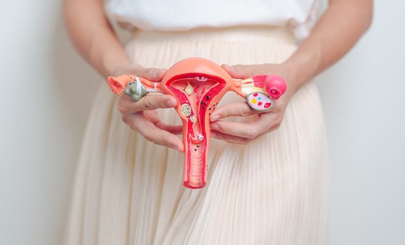 RS16726_AdobeStock_620461274_scr