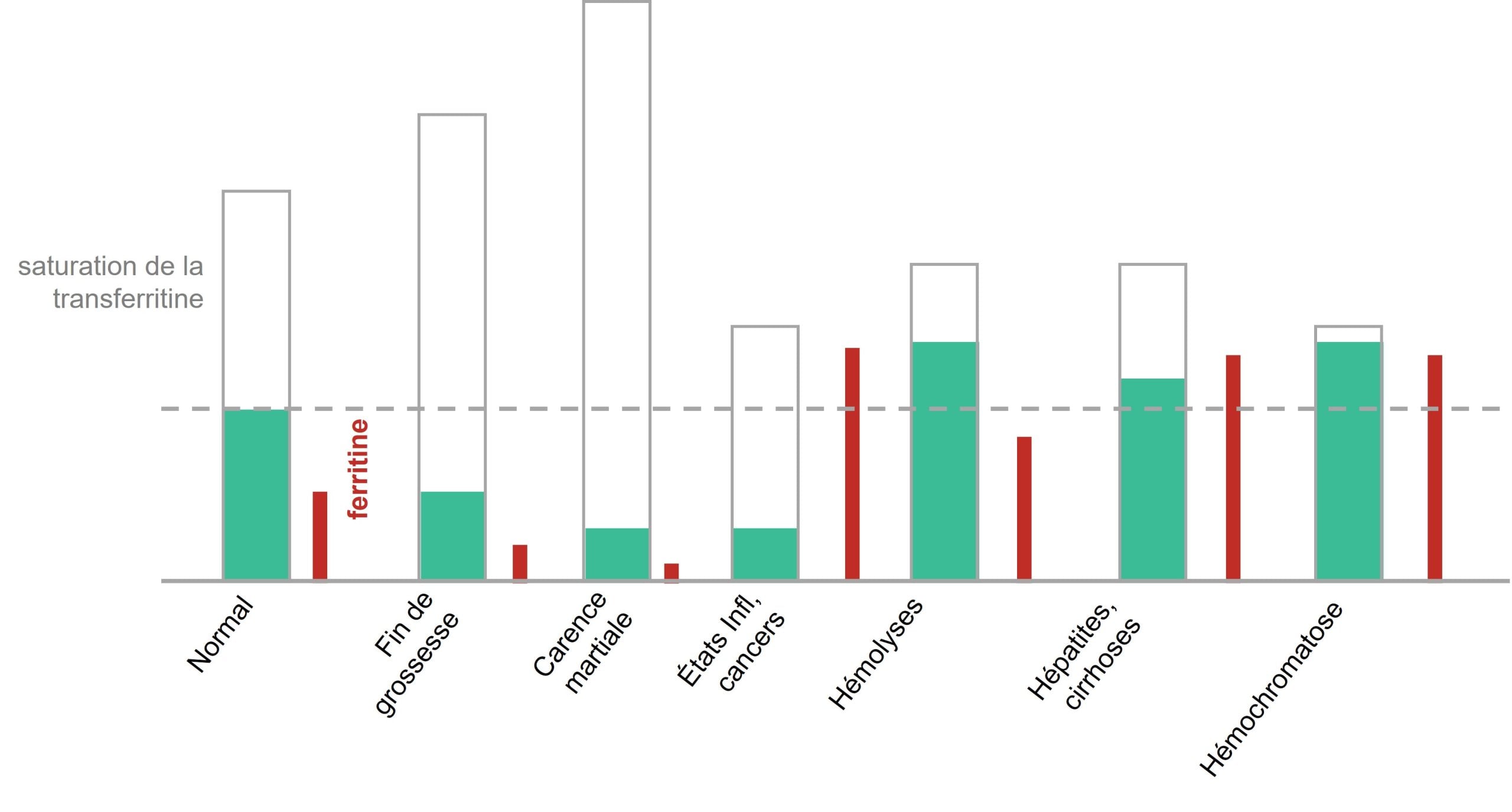 FER_Illustration_newsletter_3