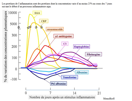 Autes marqueurs biologiques de l'inflammation