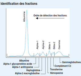 Identification des fractions