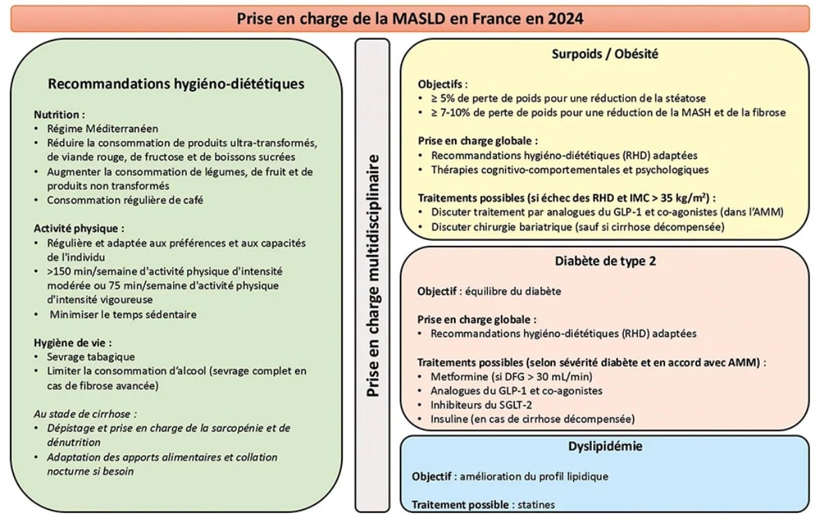 Prise en charge de la MASLD en France en 2024